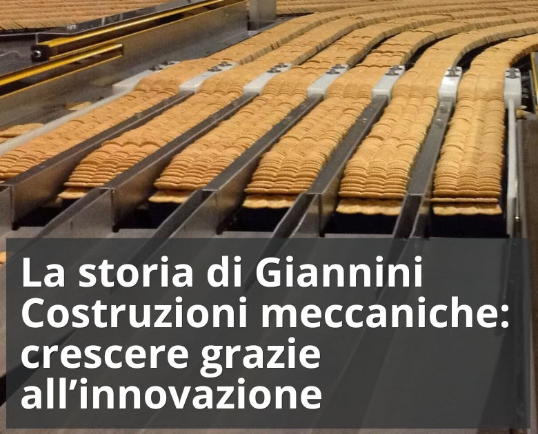 GIANNINI COSTRUZIONI MECCANICHE S.R.L.